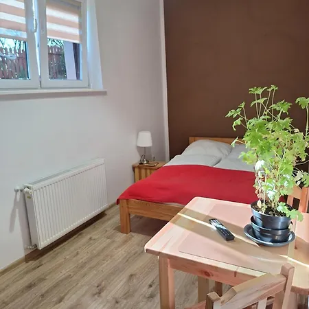 Mini Dominika Władysławowo